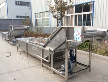 Vegetable cleaning machine